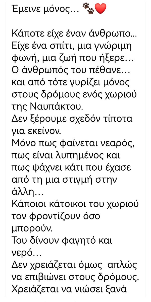 Christinalirou2's tweet photo. ‼️🆘‼️🆘‼️🆘‼️🆘‼️
Ναύπακτος
Πέθανε ο κηδεμόνας του κ τριγυριζει έρημος κ μόνος στο χωριο. Κοιτάξτε αυτό το πλάσμα πόσο θλιμμένο είναι. Κοινοποιούμε παιδιά μήπως βρεθεί οικογένεια που θα το αγκαλιάσει κ να νιώσει ότι ανήκει κάπου. Πάμε να του βρούμε ένα σπιτικό. 🏡🐕❤️✌️✌️✌️ https://t.co/UxgHl06wpw