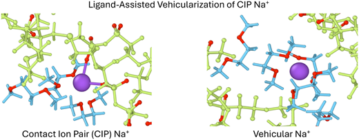 GroupHelms's tweet photo. Just out in @J_A_C_S! Ether ligands unlock vehicular sodium transport in single-ion conducting organo-ionic (ORION) solids, which are used in sodium-ion batteries. @doescience @energystoragera @BerkeleyLab  @PNNLab @UCSanDiego @UCBerkeley 
https://t.co/zjhdcdZVVF https://t.co/G3STg7IscL