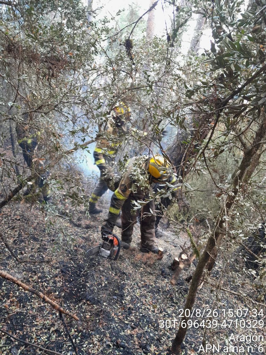 IIFFAragon's tweet photo. Así trabajamos hoy en el operativo de #INFOAR del @GobAragon para rematar tocones y puntos calientes en #IFPeñasdeRiglos https://t.co/CvF7A0DpVc