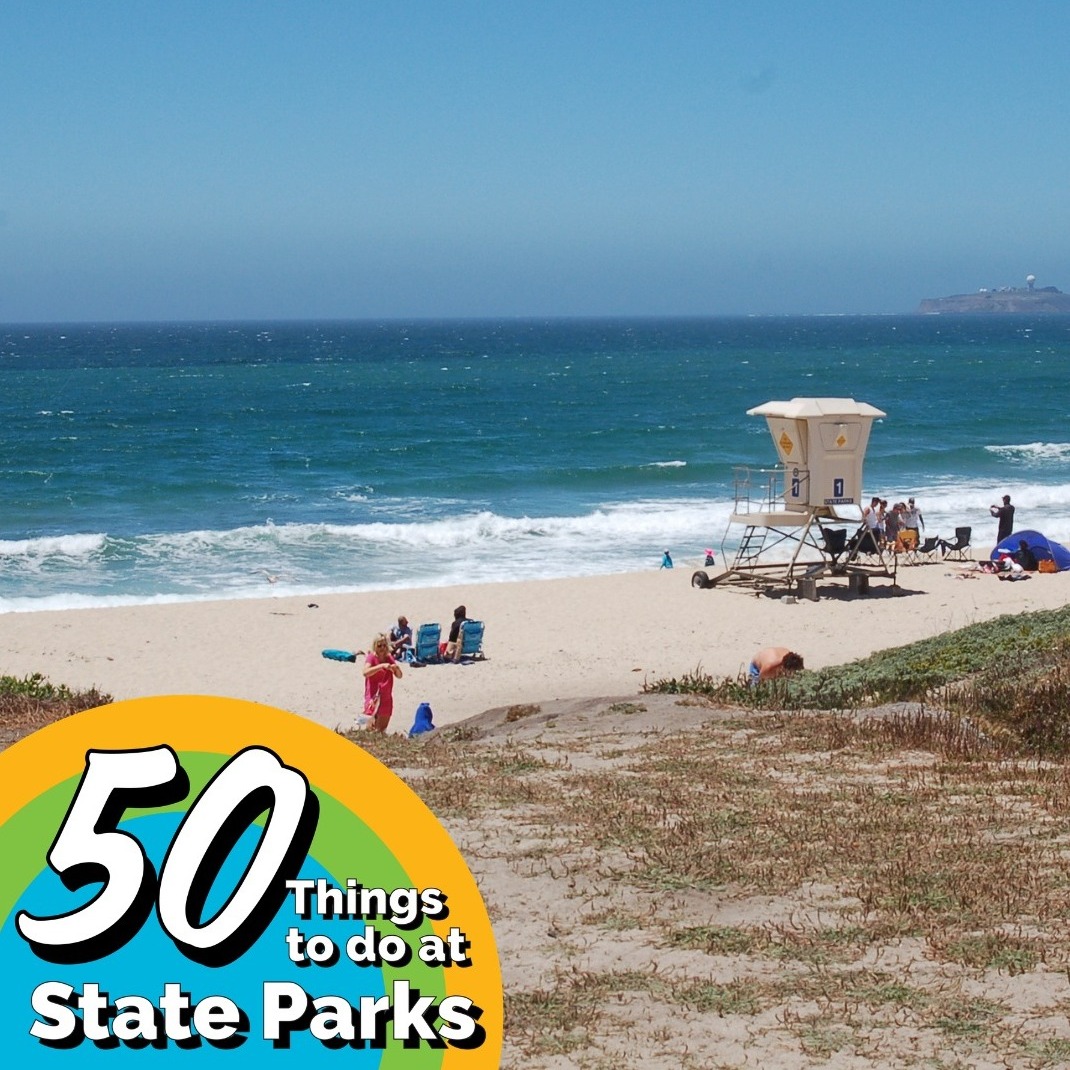 ThatsMyPark's tweet photo. 50 Ways to Love Your Parks: #2
Make a splash! Head to Half Moon Bay SB for a refreshing swim or a day in the waves. 🌊 Parking is $10 &amp; helps Friends support local state parks &amp; beaches.
This is 1 of 50 ways to celebrate 50 years of Friends. See all 50 at https://t.co/raAHejFQ0C https://t.co/F6cZr5sTSP