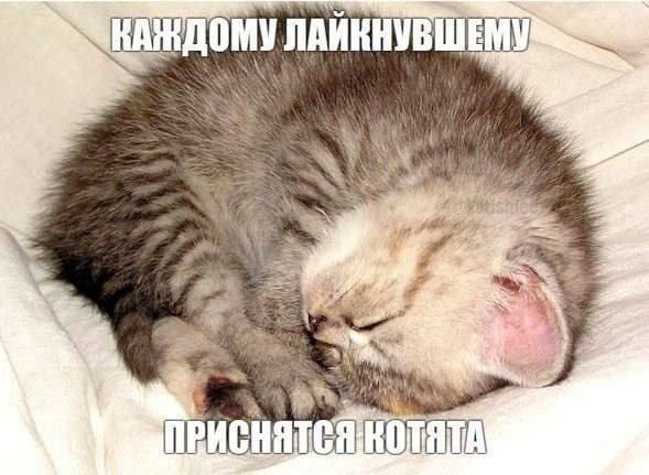 Gaa_vw's tweet photo. Акк создала, а папищики когда будут https://t.co/ciej3LDsQi