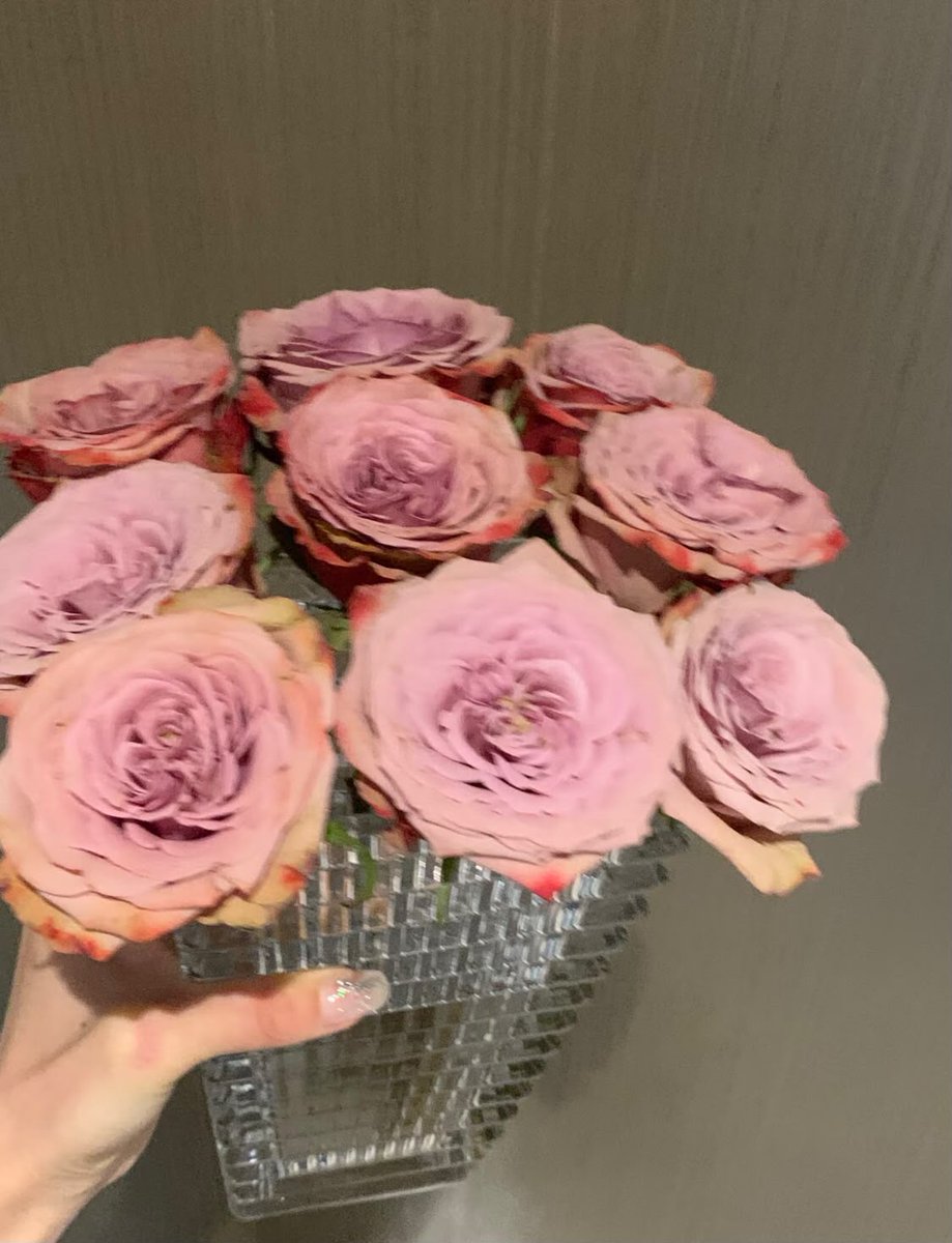 KateGriff16's tweet photo. Flowers bloom in their season, and life is filled with light. May we all be like flowers, growing steadily and blossoming in our own season. 🌷#FlowerRomance #FlowersBloomAsUsual #GentleHealing #RecordingBeautifulMoments https://t.co/rVMfw11uWY