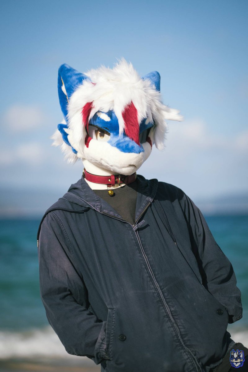 FeatherssNest's tweet photo. 发发单主们的返图
帅龙是@ruixingxl

#Furry #Fursuit #FursuitEveryday https://t.co/fZ11NbYZ1Q