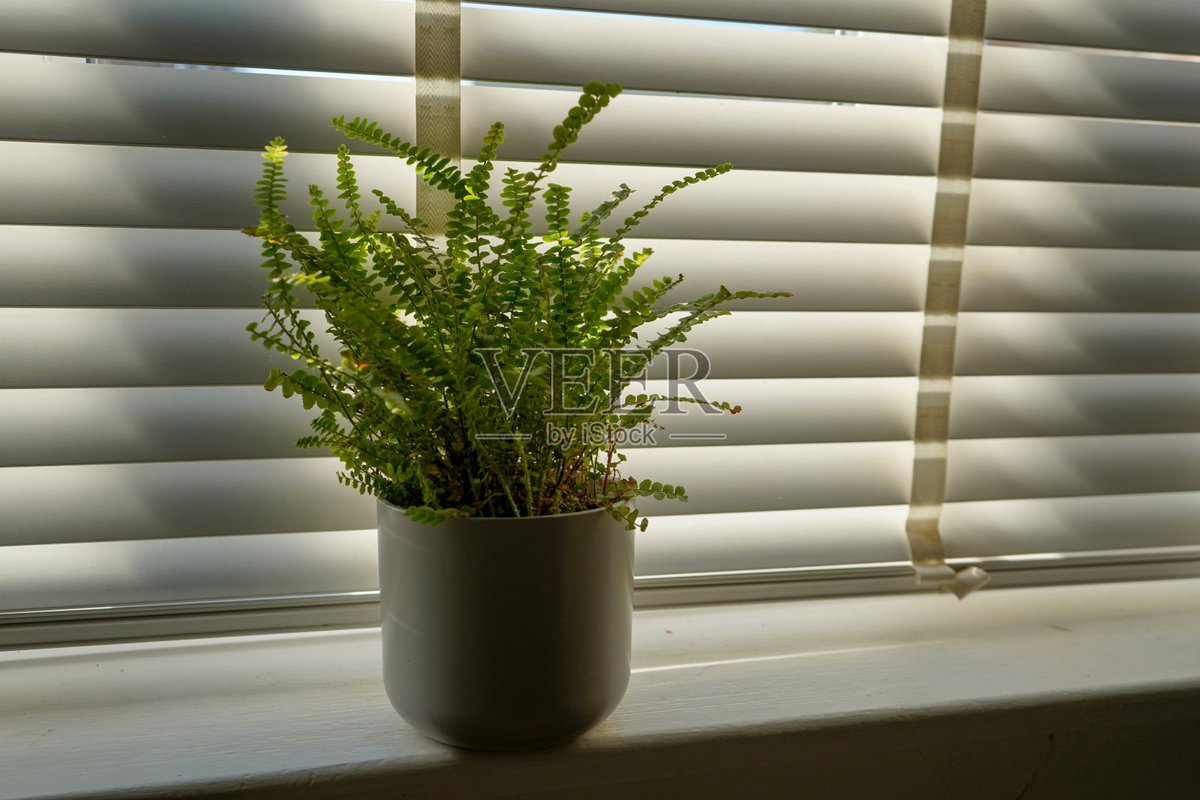 BingIcecy's tweet photo. New to photography Start with natural light! It’s free, beautiful, and perfect for capturing warm, soft moments – no fancy gear required.， https://t.co/8g4g1rKprf