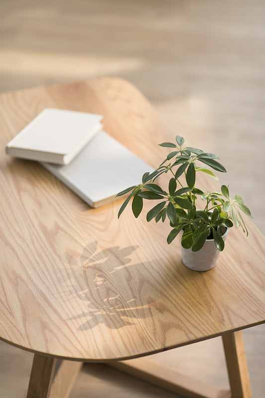 luckykh95731925's tweet photo. My morning desk refresh: a small potted succulent, a wireless keyboard, and a note with today’s to-do list – tiny details make work feel warm and focused.， https://t.co/K51zreSjPD
