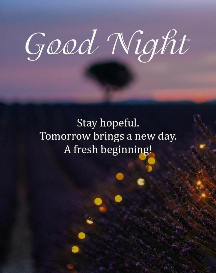 lotter_chr47028's tweet photo. Good night.... https://t.co/6DInuvI07G