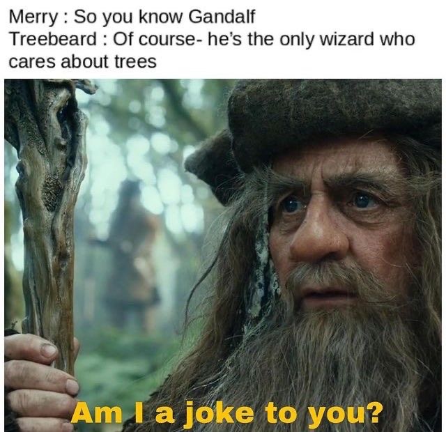 TheLOTRMemes's tweet photo. https://t.co/Q53CkN1iu5