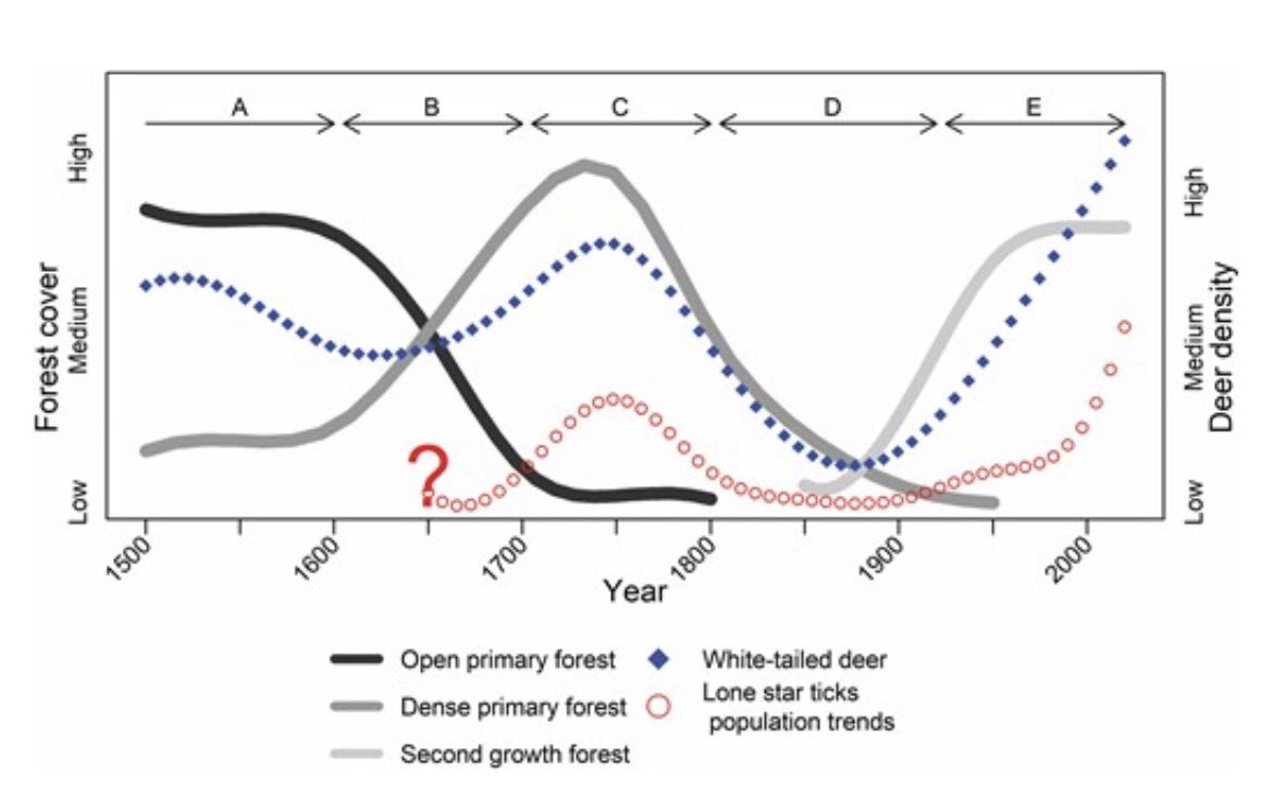 cs2100's tweet photo. @SH0GGB0MB @col_scoob @wildlifewire In the 1800s tick populations fell and their range shrank due to a decline in deer populations. Now that deer numbers are rising above precolonial levels due to lack of predation, ticks are returning to their original range, but will expand more due to warmer winters + more hosts https://t.co/BakLSff2to