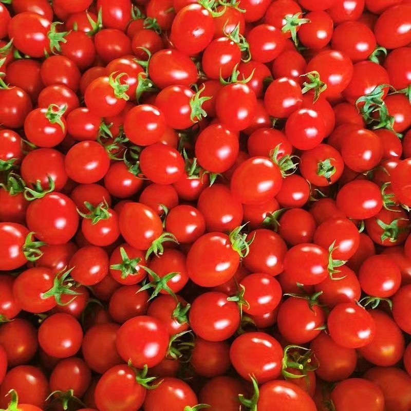 lisaadelehowe81's tweet photo. Just tried the new organic cherry tomatoes! Sweet, juicy, no weird aftertaste—perfect for salads or snacking. 10/10 would buy again. https://t.co/DkI6JK1Q7C