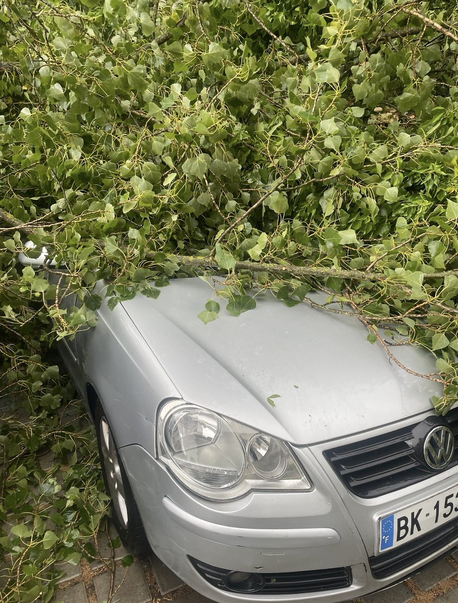 DGO2738's tweet photo. Plus d’un an que Matmut me fait tourner en rond depuis qu’un arbre est tombé sur la voiture. 1 an que je n’ai plus de véhicule, si la force des réseaux peut faire avancer les choses ça serait une grande aide 😞 https://t.co/49jVliwMl6