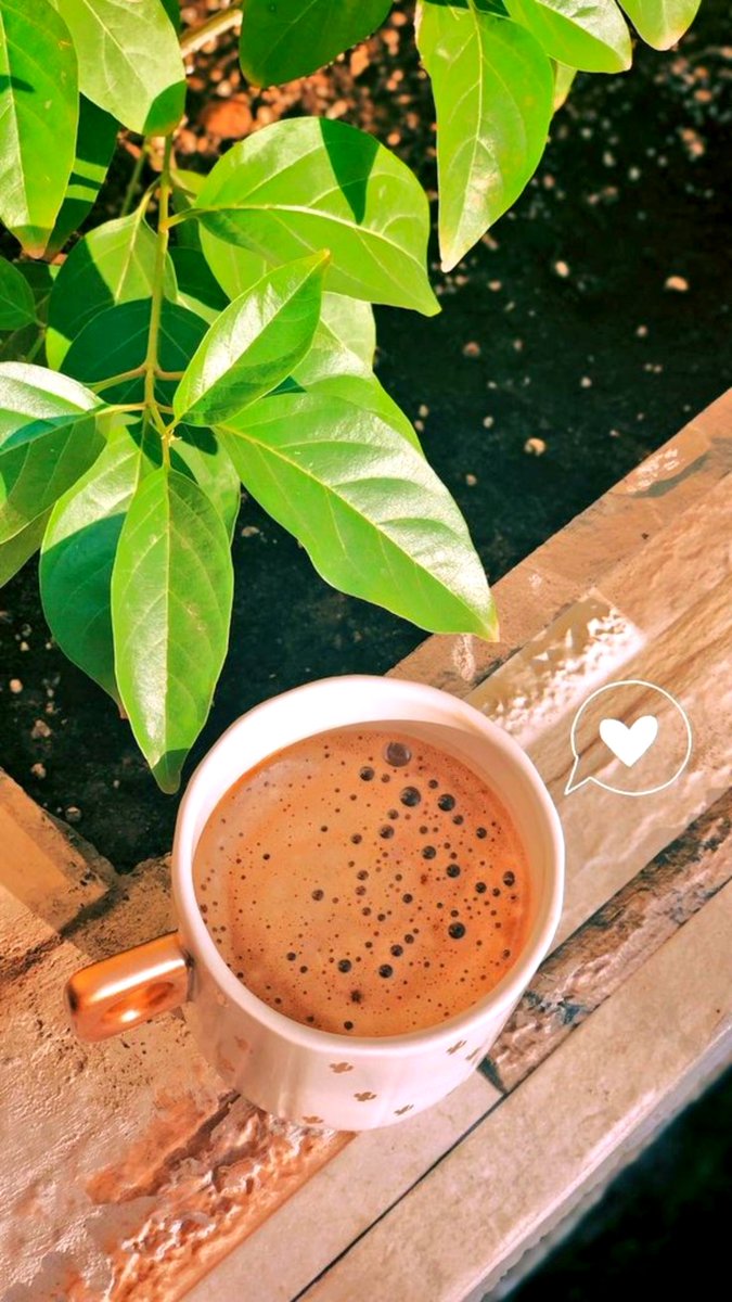 sellcancann's tweet photo. Konular diyorum, hâyli birikti..
Artık bir kahve içsek mi😉🤗 

Vakit akşam 💫 

Huzurla 😇
Sağlıkla ☺️
Aşk'la kalın 😍

Bi kahve 😊🦋

#iyiakşamlar 🙏😇💫🌙 https://t.co/8LpKfQNwzP