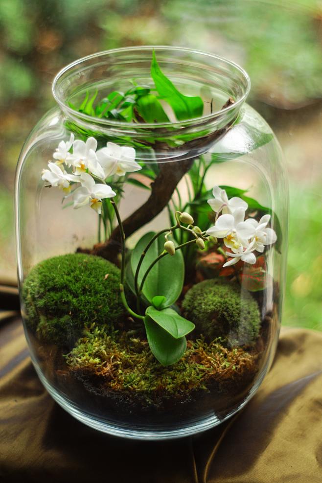 popbeey's tweet photo. Got my weekend sorted! Upcycled old glass jars into cute hanging planters with fairy lights  So easy, cheap, and gives my balcony a cozy new vibe – try it if you have random craft supplies lying around! https://t.co/10stcwpxTr