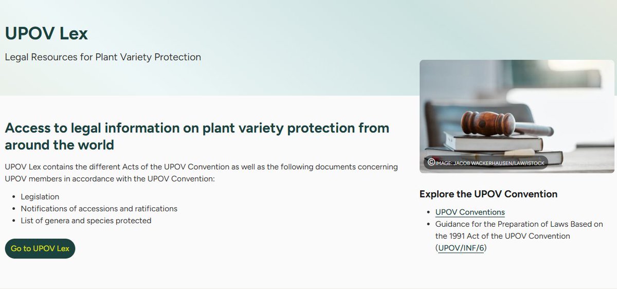 UPOVint's tweet photo. UPOV Lex: the central legal reference hub for plant variety protection systems worldwide, has just been enriched with the latest plant variety protection law from Nigeria, offering users immediate access to authoritative, up-to-date legal texts from across the UPOV community.

UPOV Lex provides:
⚖️ Full legal instruments - laws, regulations, and amendments
🔎 Clear, consolidated and searchable information
🌍 Transparency on how countries implement PVP frameworks 

Learn more: https://t.co/DaPELA81AG