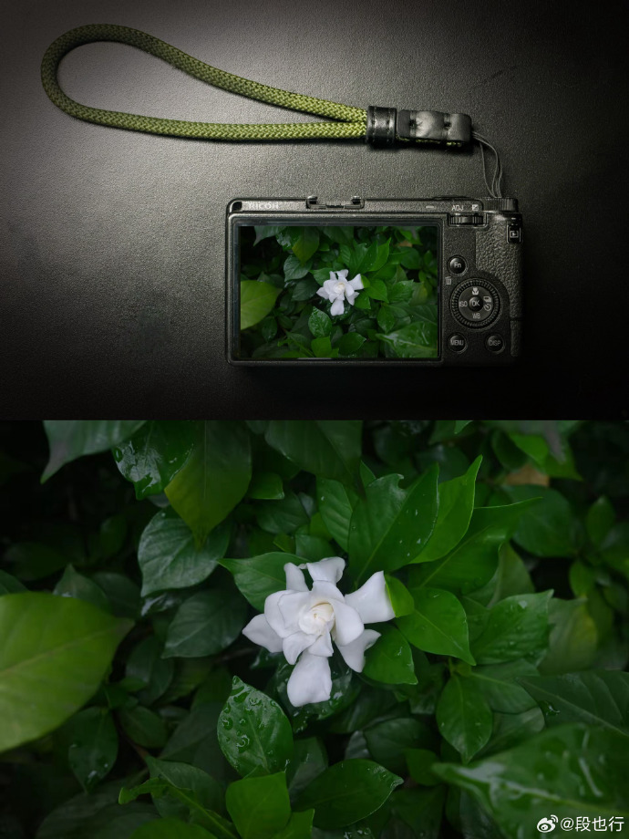 Liberaljesus3's tweet photo. New to photography Start with these 3 easy tips: 1. Use natural window light 2. Keep your subject centered first 3. Shoot daily 10-min photos to build habit. That’s it! https://t.co/5L6U8fNQqD