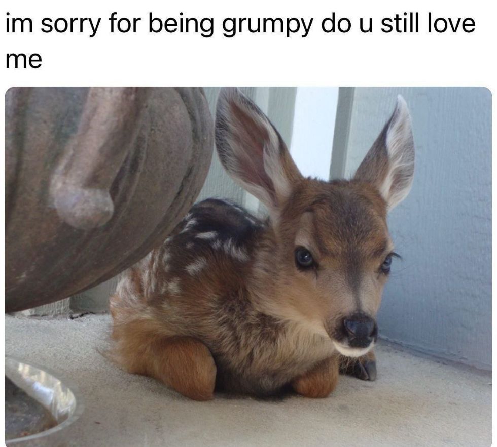 deershouldnt's tweet photo. https://t.co/yKmYMZheOI