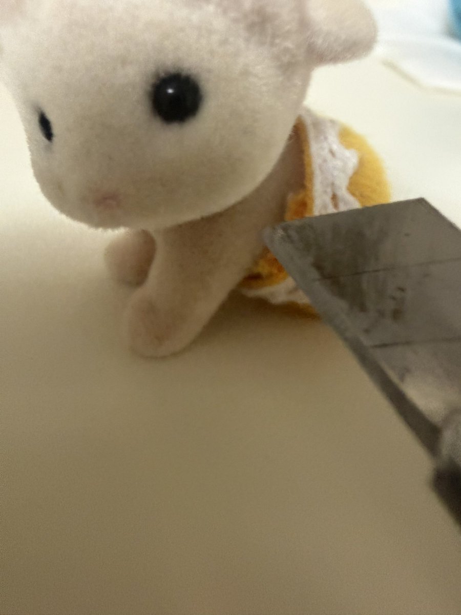 idiocyping's tweet photo. @memi_0314 이 쉽 새끼 ㅇㄴ엿어? 미친 사탄솜뭉탱 https://t.co/sQj3b4MFrq