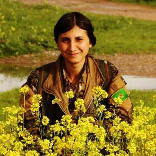 Siya___dare's tweet photo. APOculuk nedir sorusunu herkes sorar. Ve herkesin bu konuda vardır bir cevabı. Her zamanki gibi asli özneye cevap hakkı tanınmaz.
Ama Apoculuk, dünyanın herhangi bir yerinde tek başına kaldığında bile kendini bir ordu gibi hissetmektir. Herkes bitti dediğinde başlıyoruz demektir. https://t.co/u60xU9MBpk