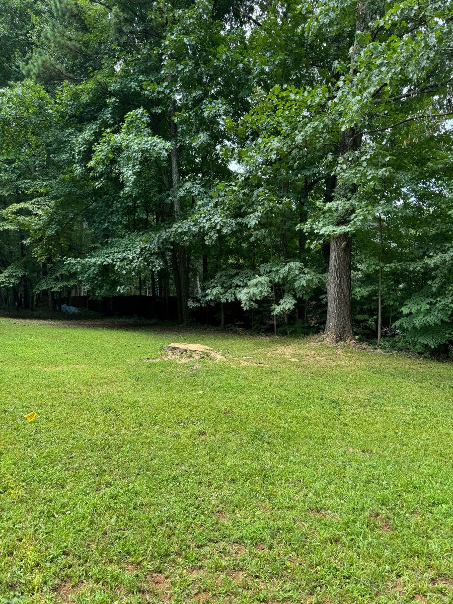 appalachian_of's tweet photo. Before &amp; After — Powder Springs, GA. Massive oak in the front yard. Climbed it, pieced it down branch by branch. All that's left is the stump. Hand-carried out, hauled away same day. (404) 409-9926 #TreeService #PowderSpringsGA #BeforeAndAfter https://t.co/d4FiXJnvzi