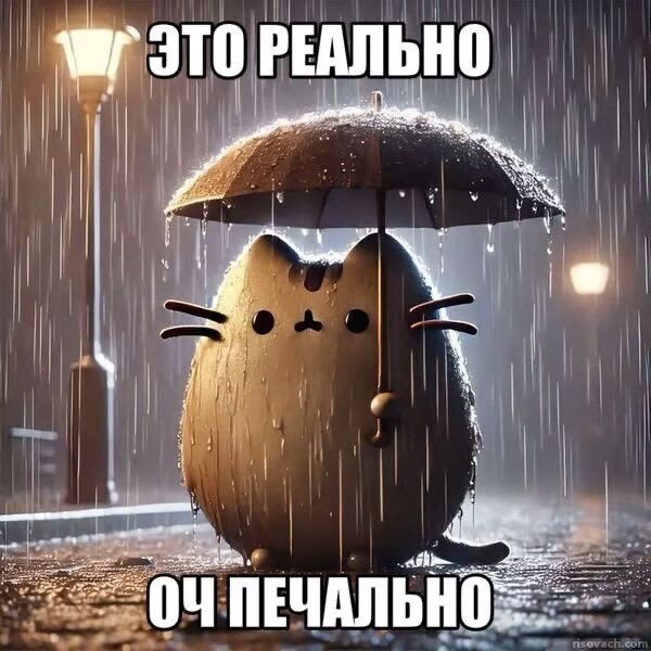 hwaxcee's tweet photo. среди своих знакомых я единственная кто шарит за диснеевские сериалы и мне так не хватает сук человека с которым я могу обсудить это https://t.co/nly7XjjbK5