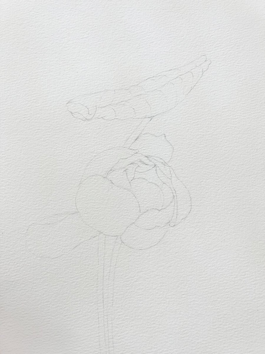 SopikHoque's tweet photo. New hobby alert! Trying watercolor painting this weekend—no pressure, just splashes and fun. What’s your latest fun hobby Share below! https://t.co/z3YaMzy6v2
