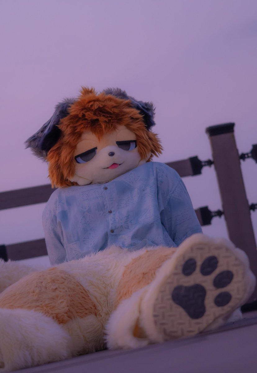 KimChun0's tweet photo. 나랑 같이 주말을 보내자!
#FursuitFriday https://t.co/dDtztFLGYY