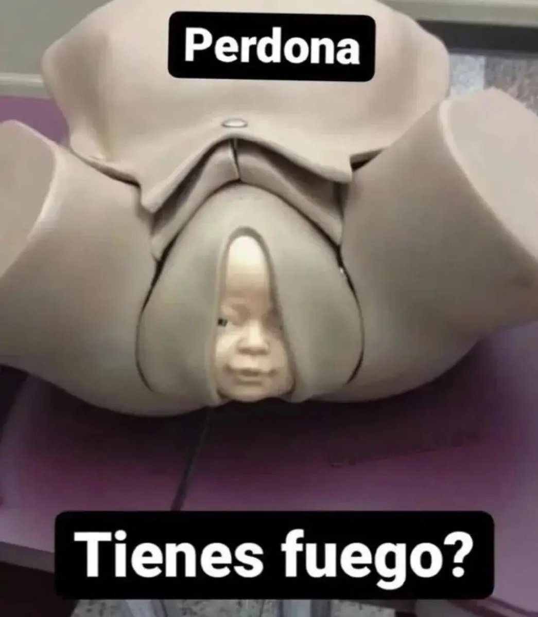 wikipistacho's tweet photo. https://t.co/RE3uCKYIJW