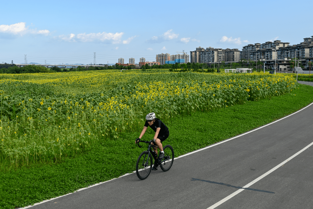 Ayanda50381597's tweet photo. My morning commute used to take 45 mins stuck in traffic. Now I cycle the same route in 15 mins, breathing fresh air instead of exhaust fumes—small wins hit different! https://t.co/MS7tsjEcK2