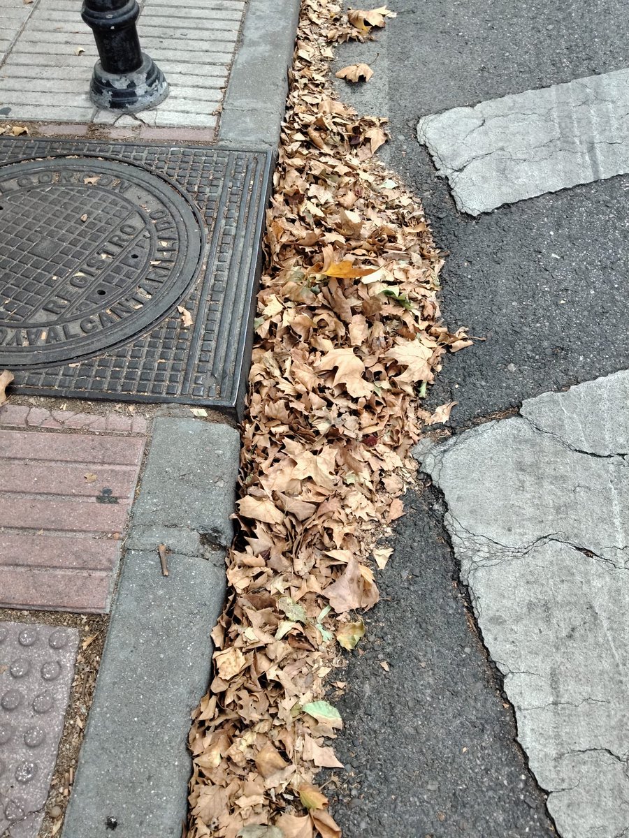 ppAlcorcon's tweet photo. Con Candelaria Testa ya es otoño 🍂 en Alcorcón 🟥🟩 https://t.co/cIabIB91of