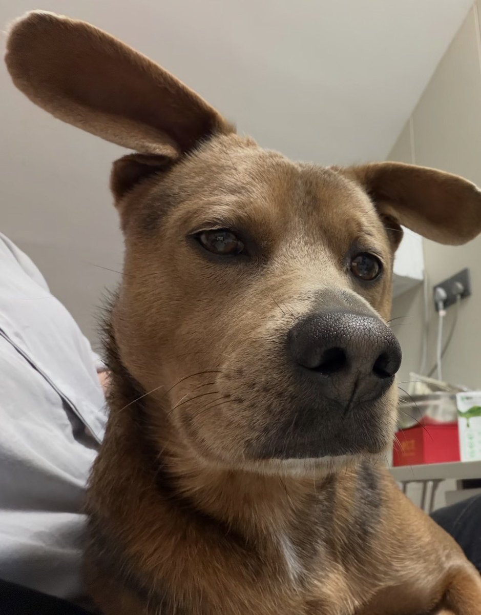 twaniimals's tweet photo. https://t.co/ws0QrqSiJH