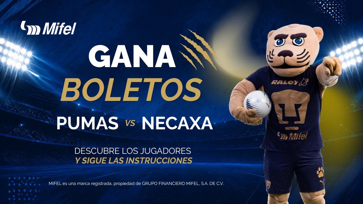 BancaMifel's tweet photo. ¿Cómo participar? 🐾💙

1. Sigue a Mifel en X.
2. Haz repost de esta publicación.
3. Envía tu respuesta por DM en X.
4. Una vez que hayas enviado tu respuesta, comenta en esta publicación: “Listo, soy Team Mifel”.
5. Las primeras 25 personas que envíen correctamente ganarán. https://t.co/QIfEL1LnQZ