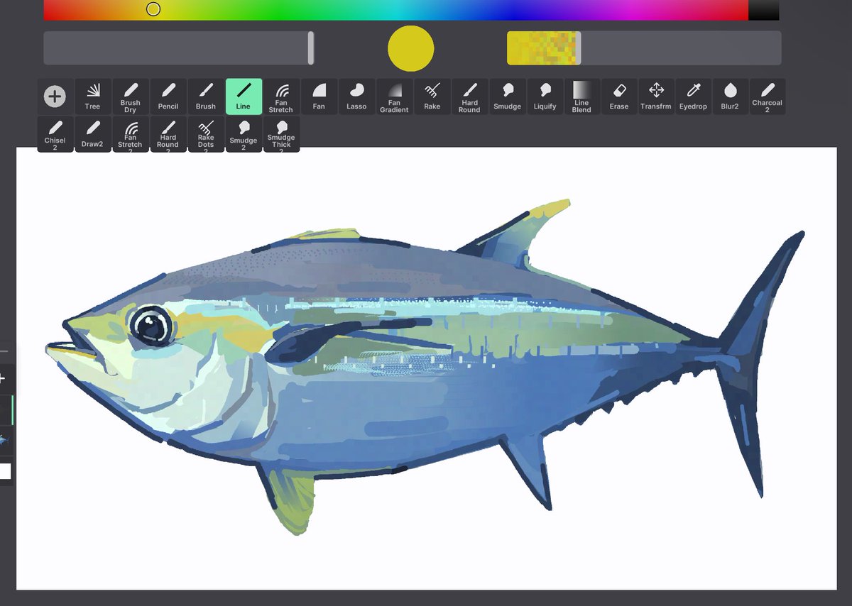 junbuug's tweet photo. my beloved yellowfin https://t.co/l4t1xMfpEe