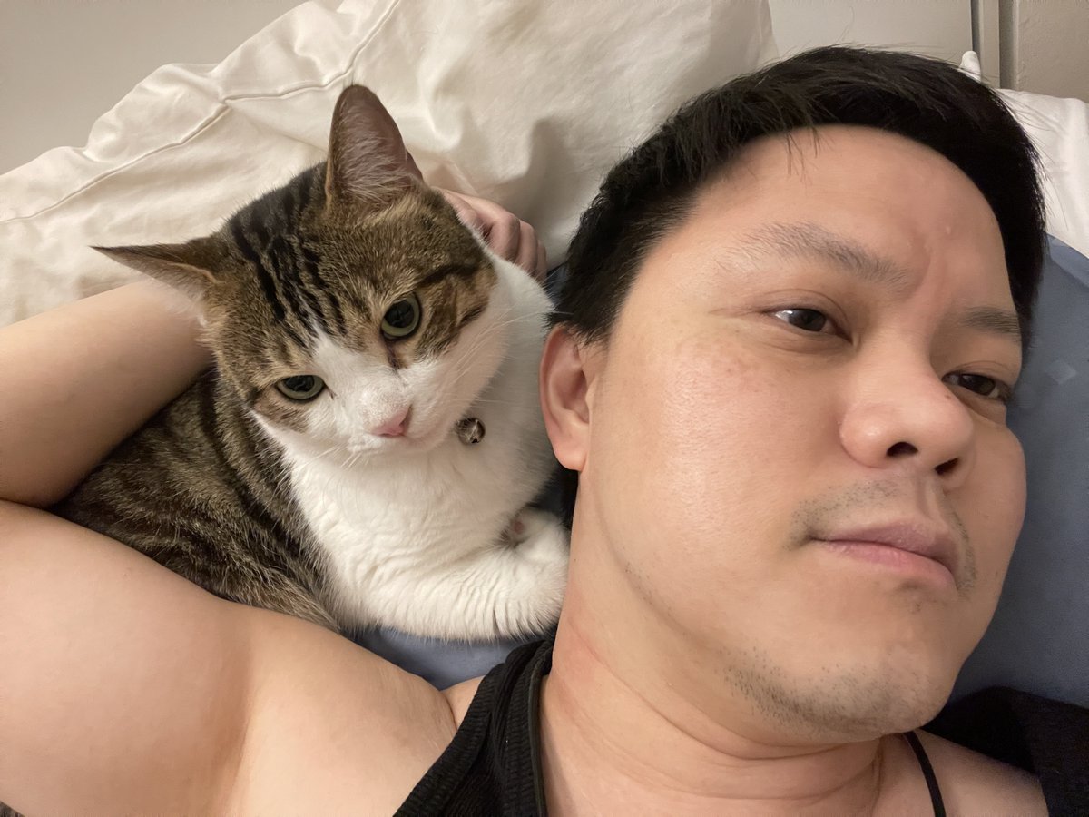 weerat's tweet photo. Hachi’s being Hachi 8️⃣ 🐱 https://t.co/Q1HE13bG9y