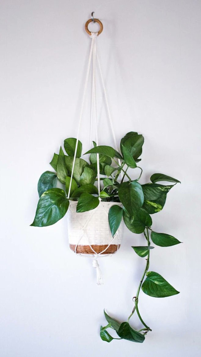 reletivesix's tweet photo. Just finished this tiny macramé plant hanger for my desk! It took 30 mins, feels so cozy seeing my pothos hang here.  #HandmadeVibes https://t.co/pVw8LwrMiG