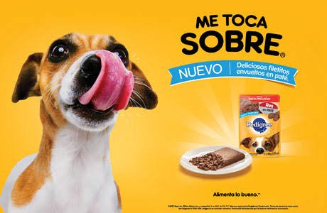 _1889L's tweet photo. @ivangodoy03 https://t.co/NpaoCOXCQv