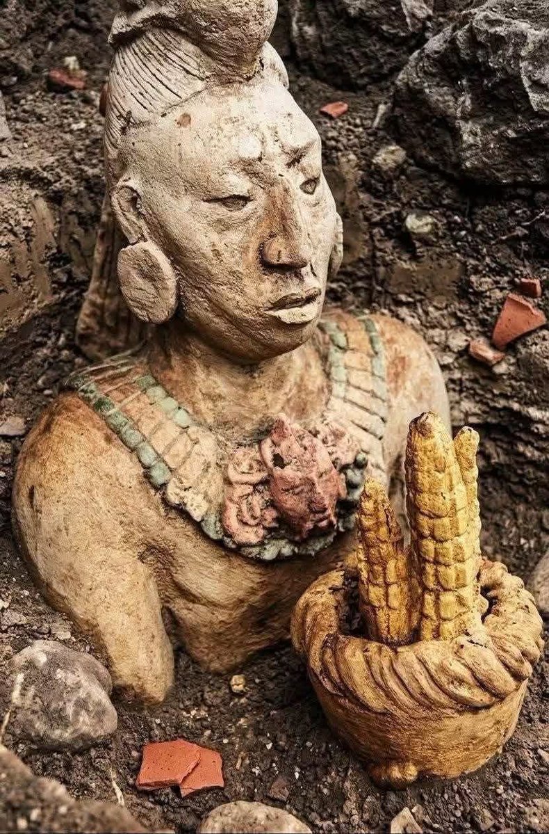 liderfiscal's tweet photo. #ULTIMAHORA Un importante hallazgo arqueológico vuelve a colocar a Veracruz en el centro de la investigación sobre el pasado prehispánico de México. Especialistas del Instituto Nacional de Antropología e Historia (INAH) localizaron en Coatepec una escultura monolítica de 1.88 metros de altura, asociada con una estructura de carácter cívico-ceremonial que presenta características hasta ahora no registradas en la región.
#Veracruz #Maya #Mexico #INAH