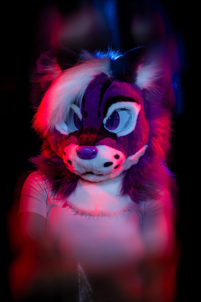 LilytheOcelot's tweet photo. Pretty in purple, dangerous in neon ⚡️

📸 @dire_walf 

#furry #megaplex2026 #fursuit #fursona #neonnights https://t.co/GTphXv1krH