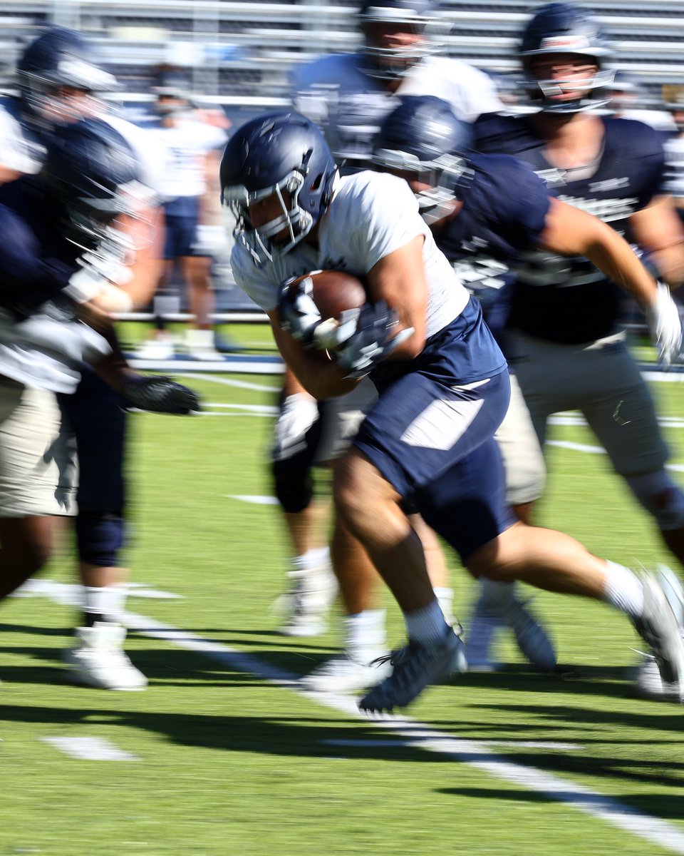 MinesFootball's tweet photo. Blurrin'

#HelluvaEngineer⚒ https://t.co/2LIYtjlUnp
