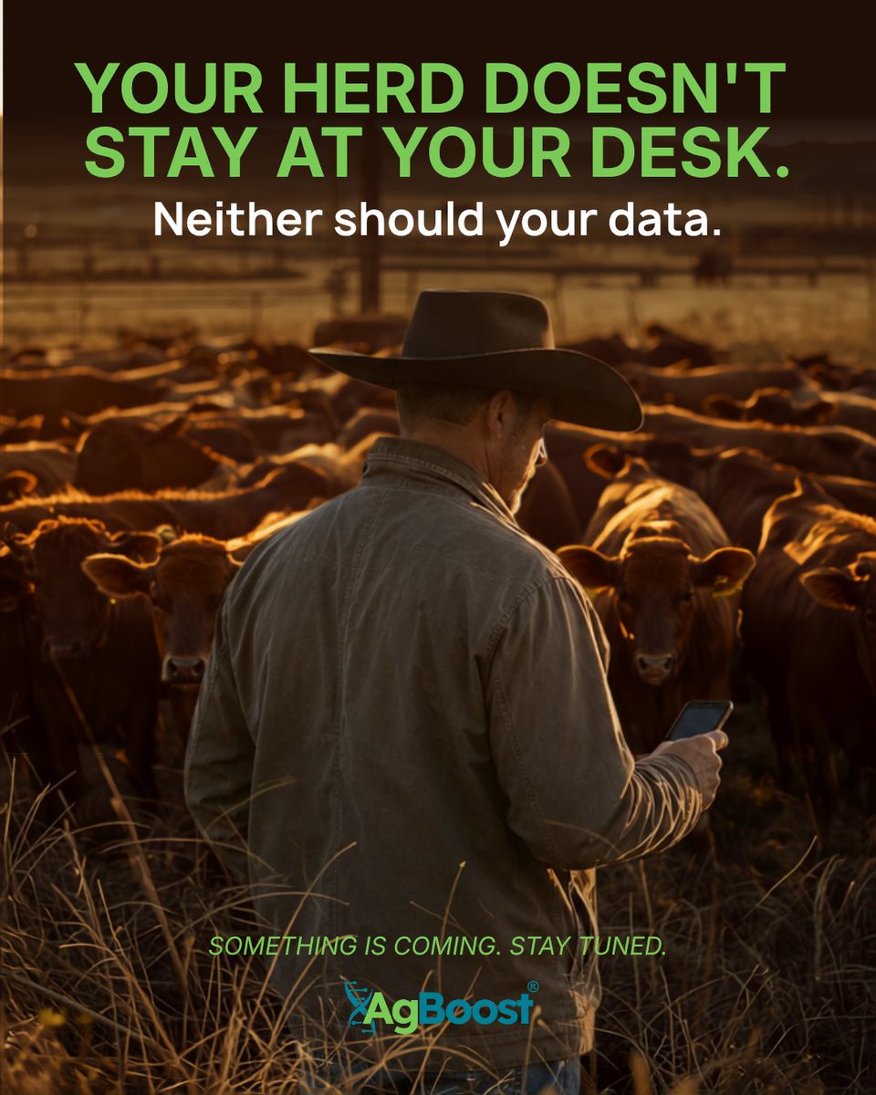 AgBoost's tweet photo. Your herd doesn’t stay at your desk.

So why should the information you use to make decisions?

AgBoost is about to make it even easier to have the information you need, wherever the work takes you. 👀

Something is coming. Stay tuned.

 #AgBoost #BeefCattle #CattleGenetics https://t.co/dgbzSplHtd