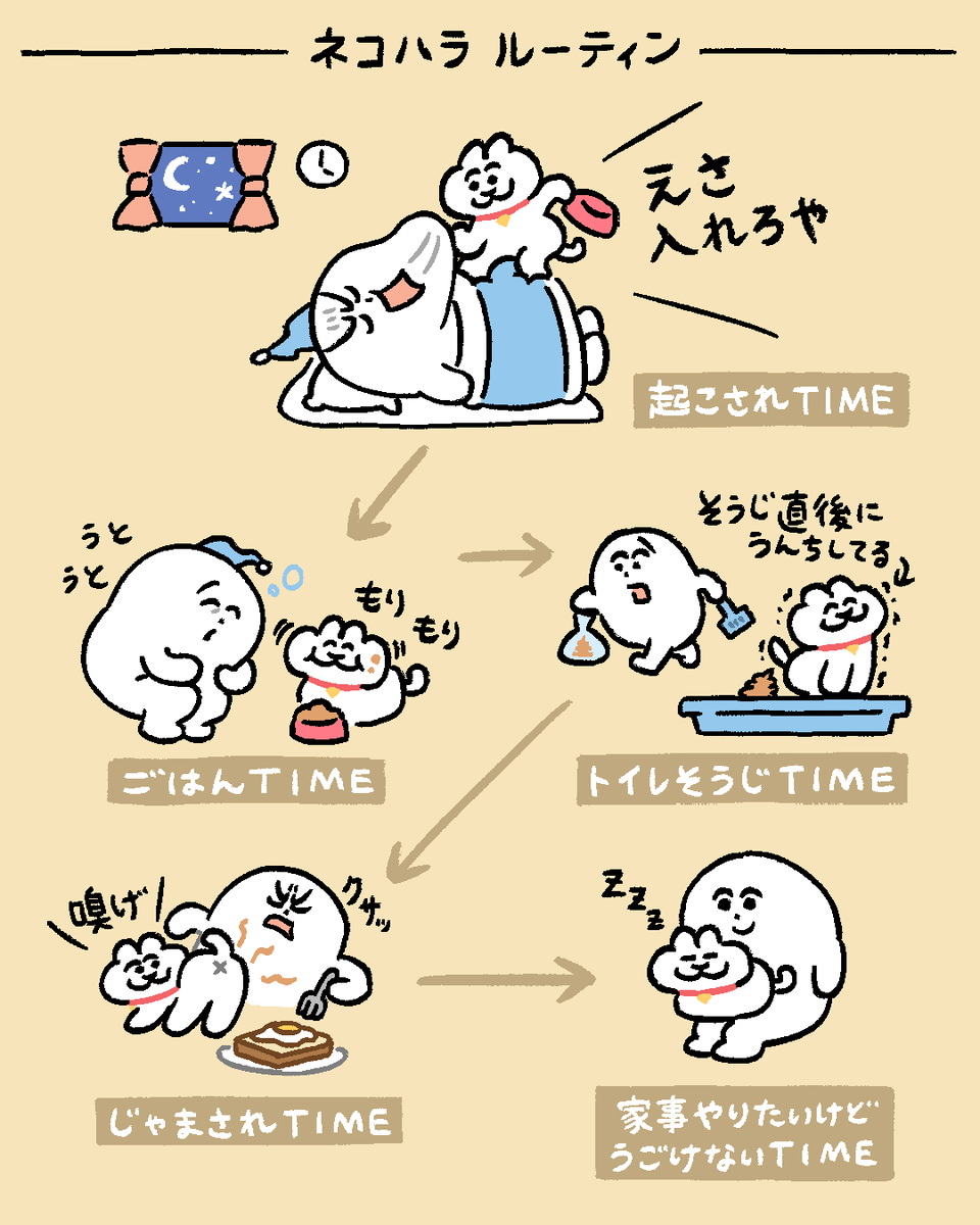 nekotoshimobe's tweet photo. 朝のネコハラルーティン https://t.co/Toc4IZOvOP