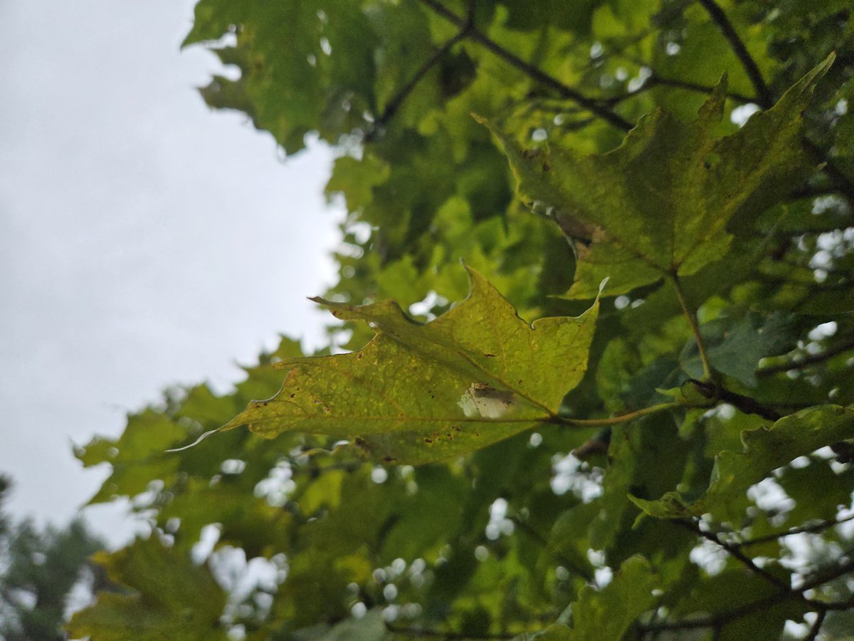 MKrullTV's tweet photo. Can you believe it's already August 20th? I feel like summer is flying by! https://t.co/MDfHmNFvzY