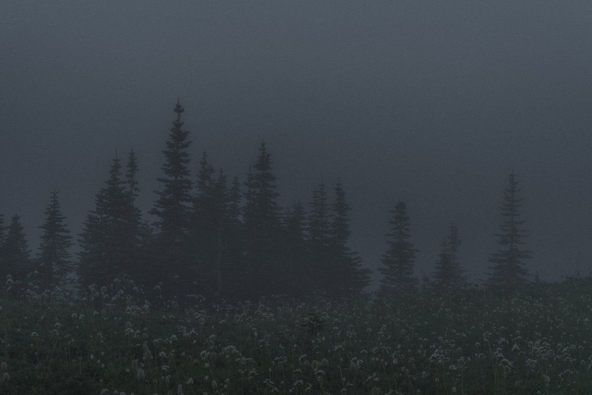 blodgrevinnen's tweet photo. haunted https://t.co/ZGWQBpMUwQ