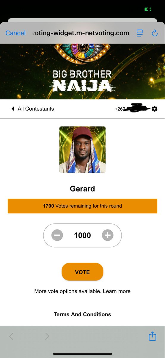 nevvaa09's tweet photo. Threw in some votes for cassi and Gerald #bbnaija https://t.co/CwFKEtb5MH