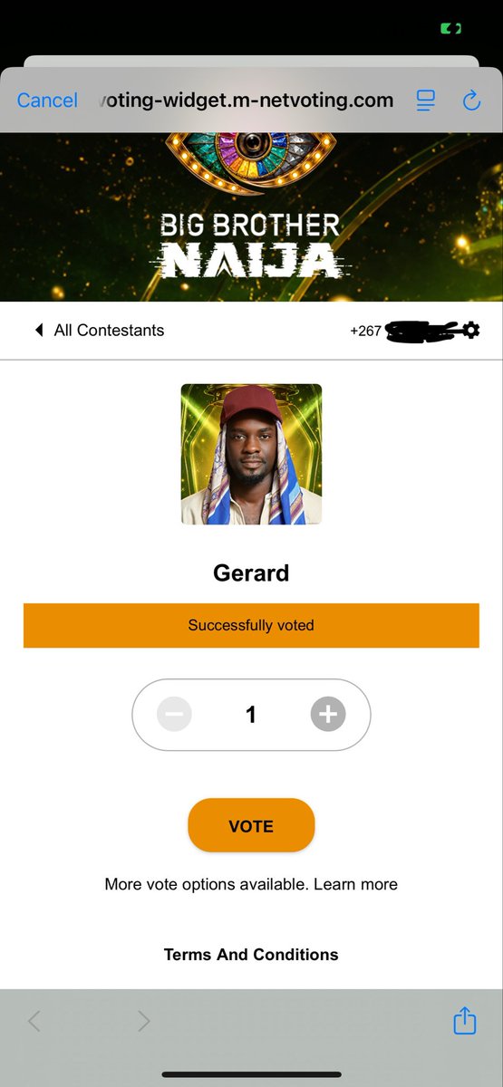 nevvaa09's tweet photo. Threw in some votes for cassi and Gerald #bbnaija https://t.co/CwFKEtb5MH
