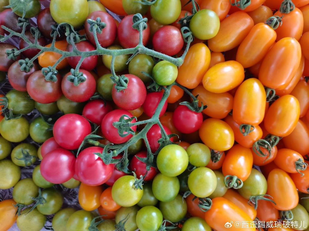 Official_Dota2's tweet photo. Fresh, local spinach u0026 cherry tomatoes restocked! Stock up on your week's healthy meals—farm-fresh, no additives. ， https://t.co/6D0DlxIQnb