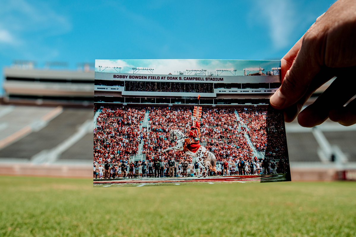FSUFootball's tweet photo. Another day closer…

#NoleFamily https://t.co/gorW6P3YcX