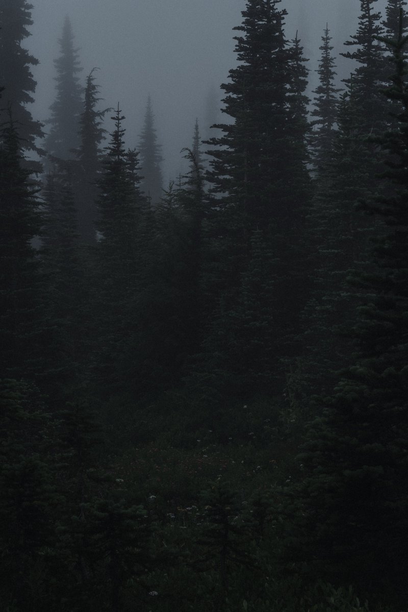 blodgrevinnen's tweet photo. haunted https://t.co/ZGWQBpMUwQ