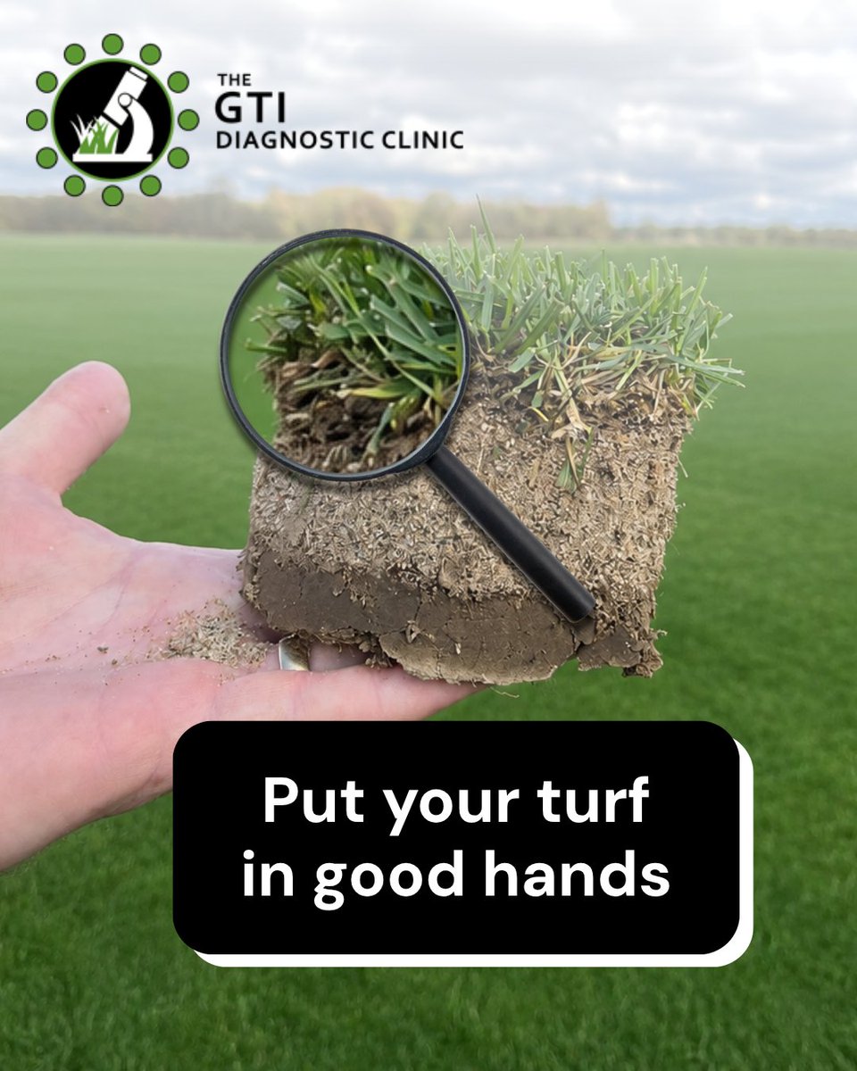 GuelphTurf's tweet photo. The GTI Diagnostics Lab helps identify turf diseases, weeds, insects, nematodes, and other issues so you can make informed management decisions based on science, not speculation. For details and pricing, visit https://t.co/Q184QJUb33 https://t.co/gcBeARNcgz
