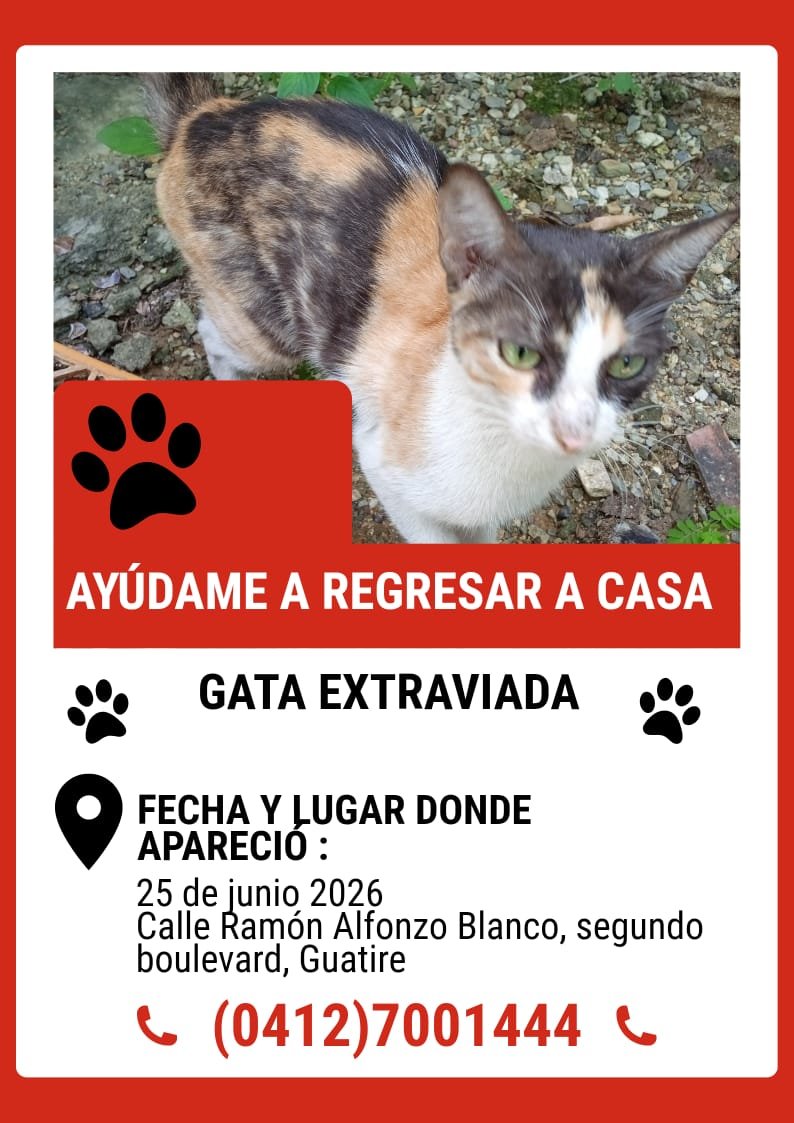 yaracalcagno's tweet photo. Se busca a su familia. https://t.co/BkBT5kEGta