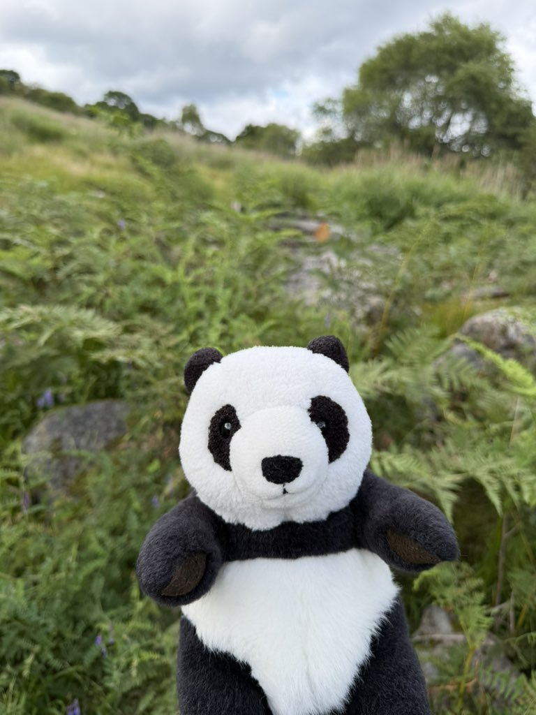 _pancyan's tweet photo. こんばんは♪
今週は旅モードの僕🐼
荻野屋の釜飯を食べて
さてさて僕の行き先は〜❓
次のポストまで
秘密だぱ〜ん🐼🐾🎵🎶😊
#ぱんちゃん
＃ぬいどり
#峠の釜めし https://t.co/WsUf6DBRnv