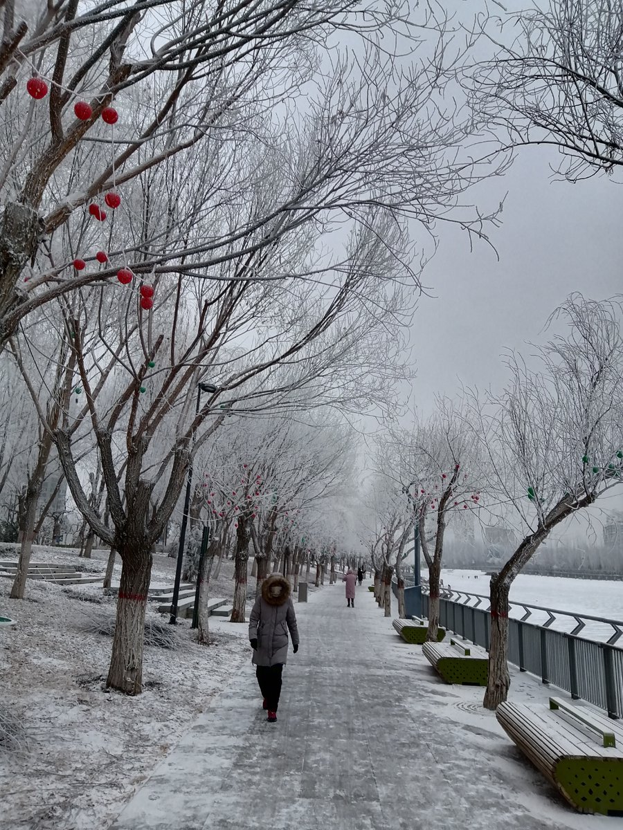 Jgarcia12584's tweet photo. Wow! The first snowfall of winter just covered the whole park with soft white layers, the quiet road and bare tree branches look so dreamy. ， https://t.co/NMFJC1791D